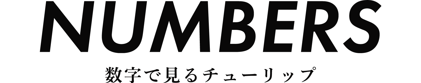 数字で見るチューリップ